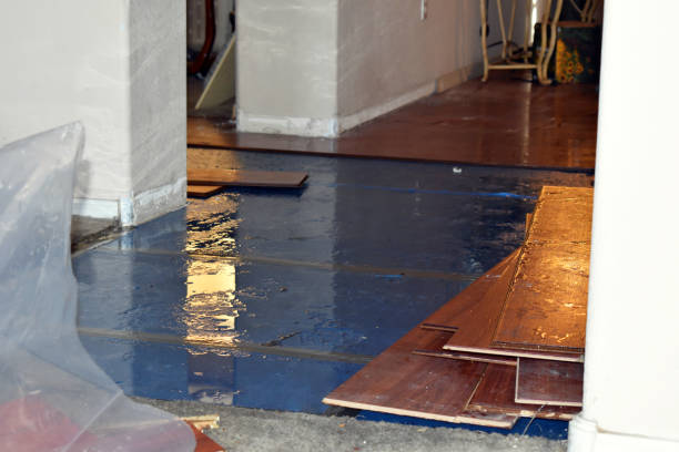 Professional Flood Damage Repair technician working in Brighton, MA